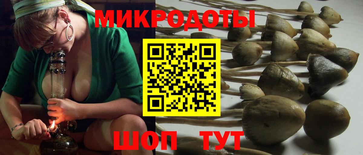 Галлюциногенные грибы Magic Shrooms  Вход с VPN  Псилоцибиновые грибы Magic Shrooms  Новодвинск 